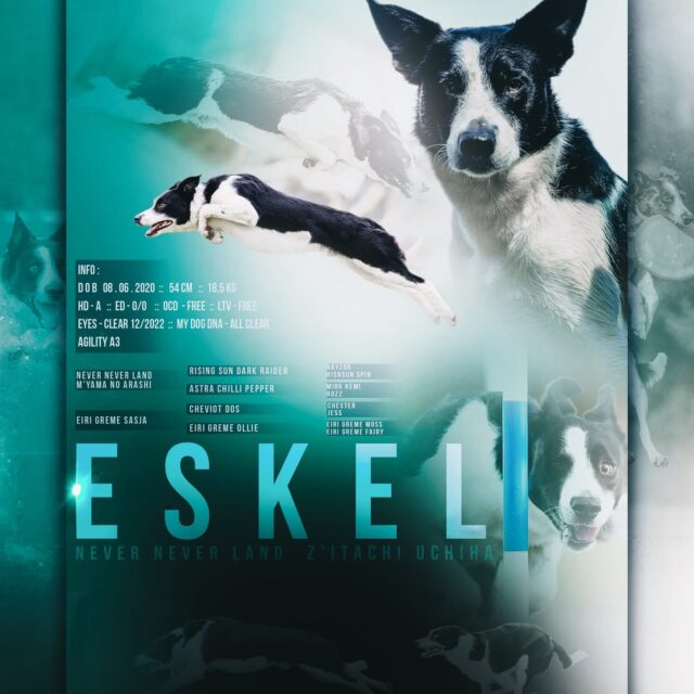 508011520_1135352705300213_8938176331567134246_n