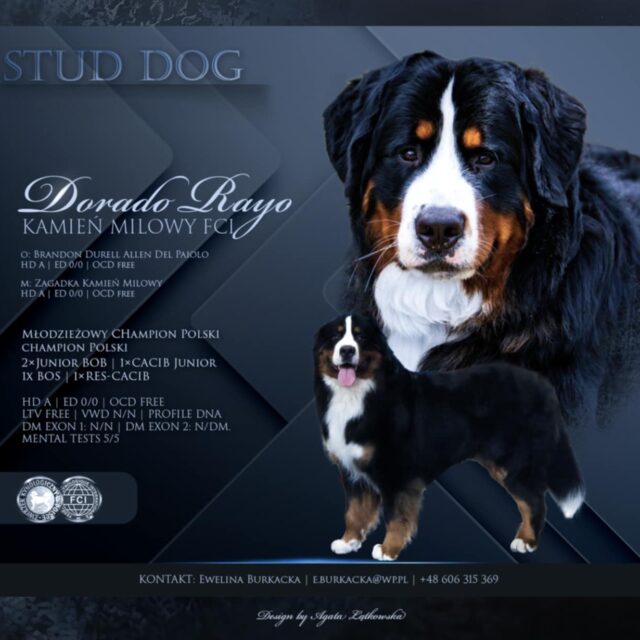 508122016_1135353048633512_4434934171664870575_n