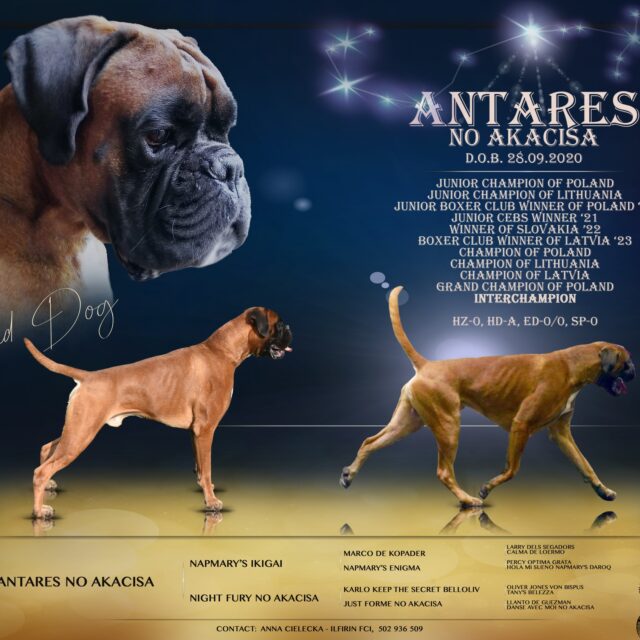 510508977_1142269897941827_7751500601184556426_n