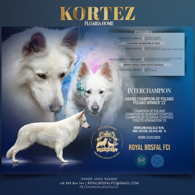 511617454_1142269824608501_5811091251845481595_n