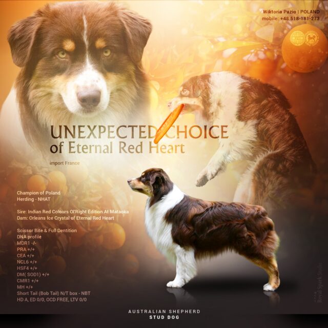 512403098_1142269881275162_4518648314334572922_n