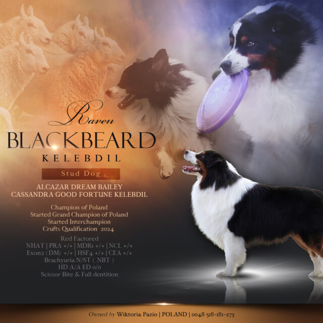 512695072_1142269787941838_7264085470564245952_n